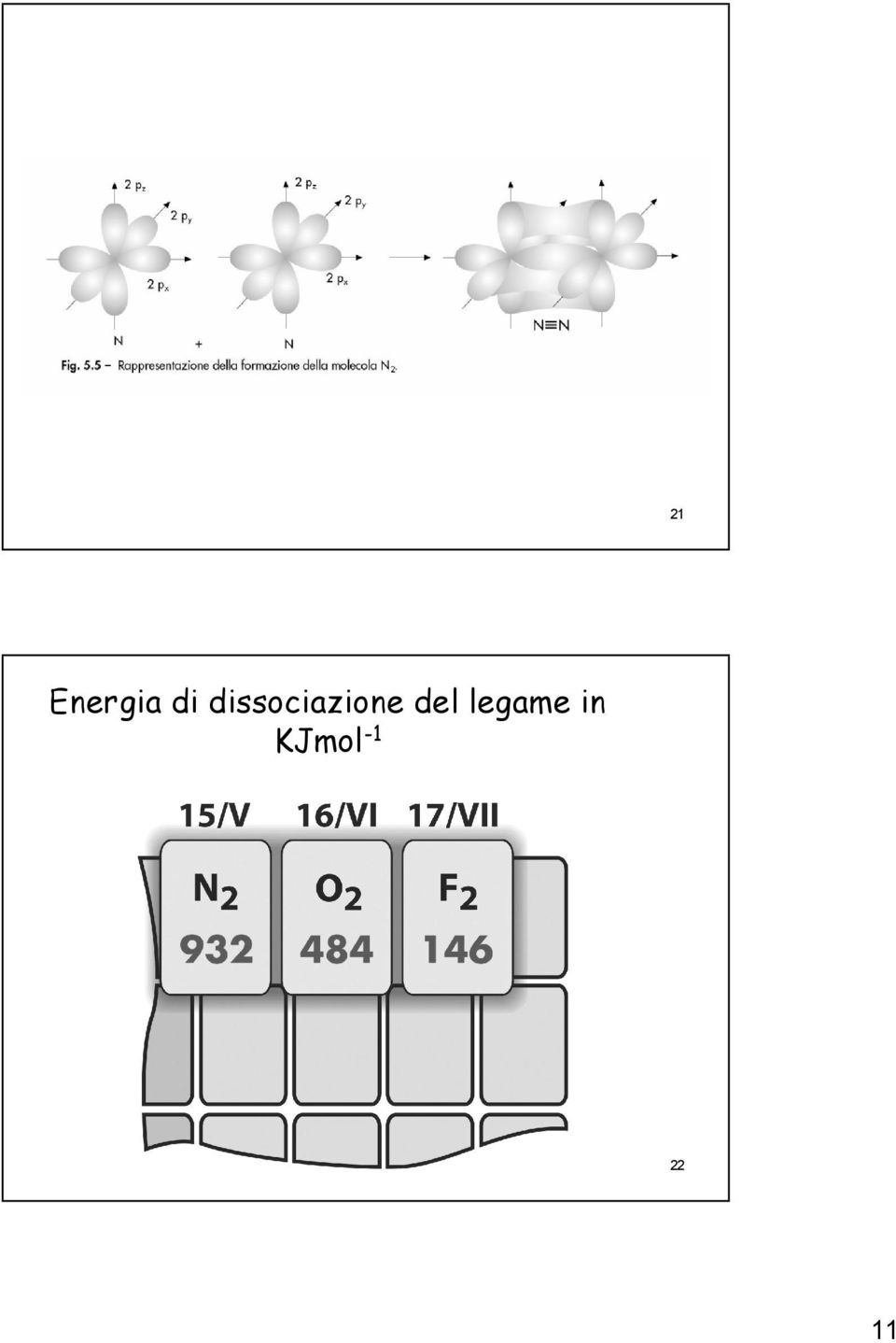 del legame in