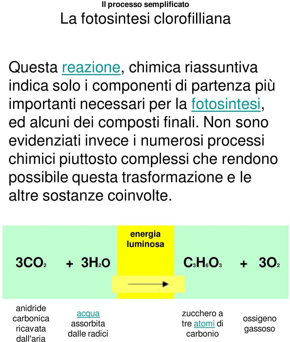 Non sono evidenziati invece i numerosi processi chimici piuttosto complessi che rendono possibile questa trasformazione e le