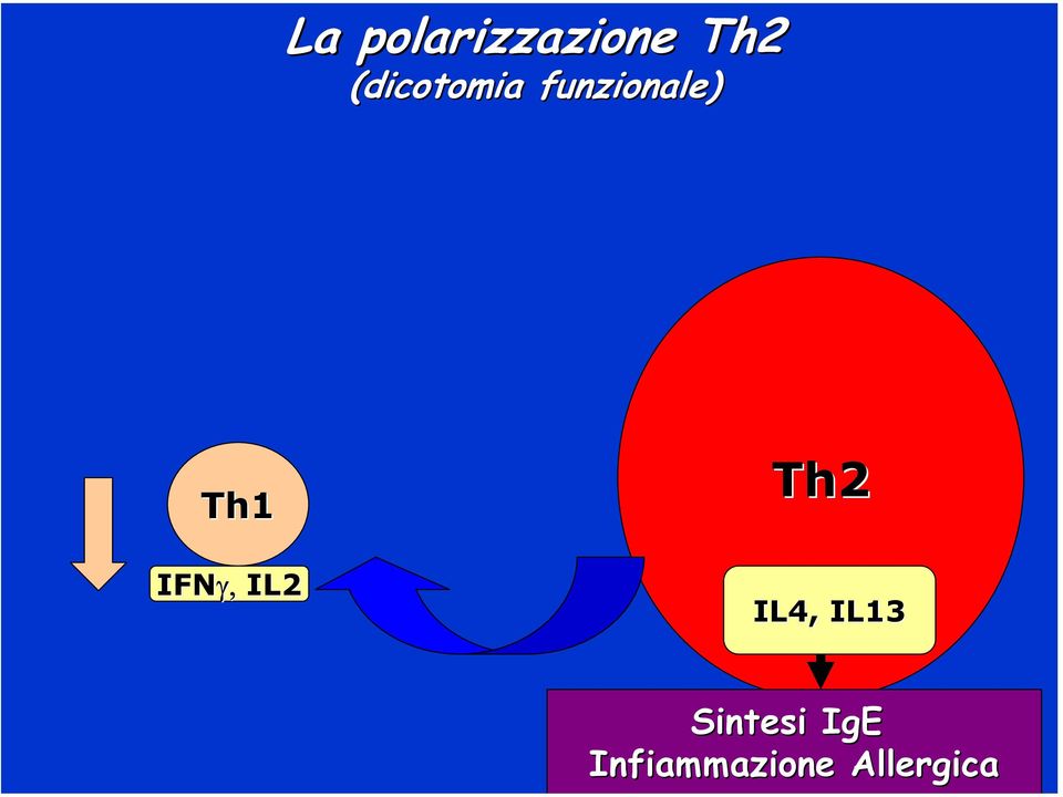IFNγ, IL2 Th2 IL4, IL13
