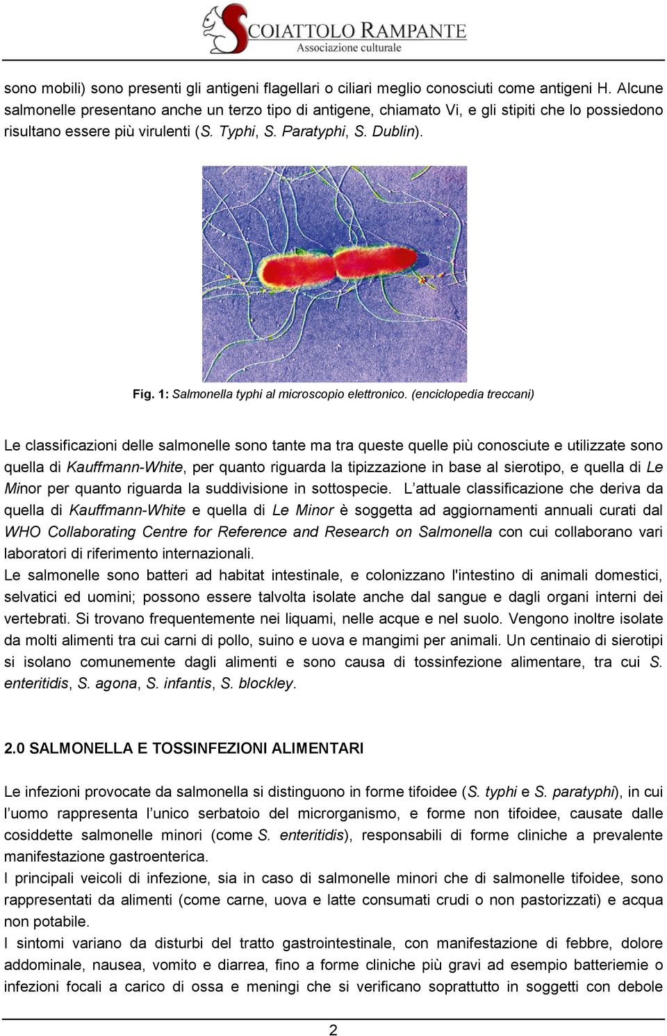 1: Salmonella typhi al microscopio elettronico.