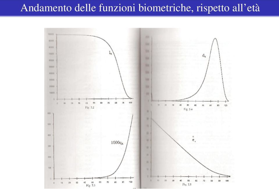 funzioni