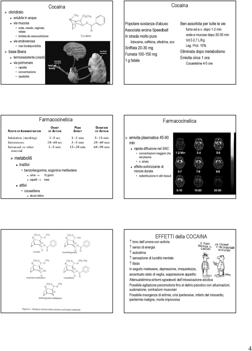 Ben assorbita per tutte le vie fumo ed e.v. dopo 1-2 min orale e mucose dopo 20-30 min Vd 2-2,7 L/Kg Leg. Prot.