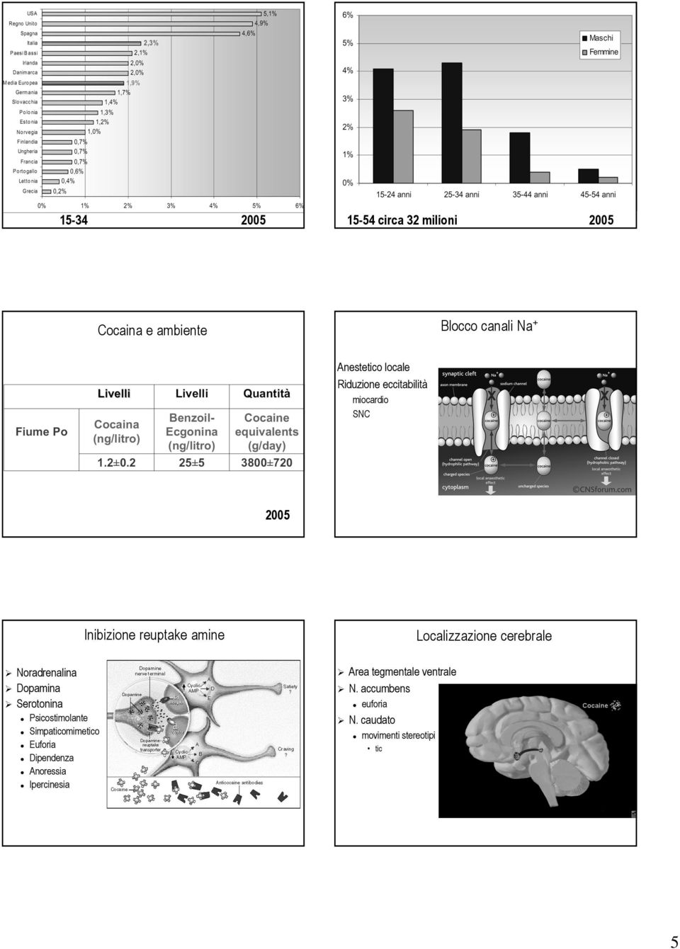 Serotonina Psicostimolante Simpaticomimetico Euforia Dipendenza Anoressia Ipercinesia