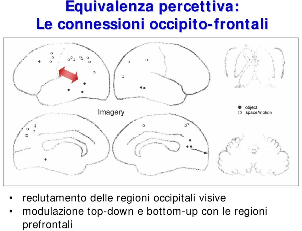 regioni occipitali visive modulazione