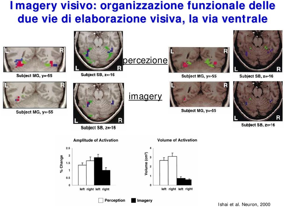 elaborazione visiva,, la via