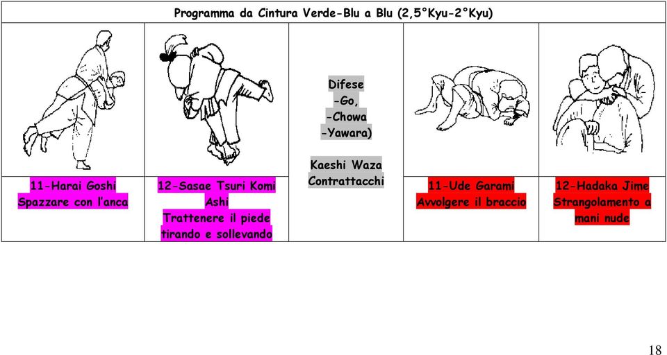 Trattenere il piede tirando e sollevando Kaeshi Waza Contrattacchi