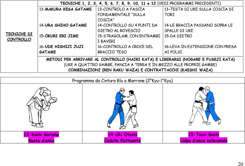 CON ENTRAMBI I BAVERI 16-CONTROLLO A CROCE DEL BRACCIO TESO 13-TESTA DI UKE SULLA COSCIA DI TORI 14-LE BRACCIA PASSANO SOPRA LE SPALLE DI UKE 15-DA DIETRO 16-LEVA IN ESTENSIONE CON PRESA AI POLSI