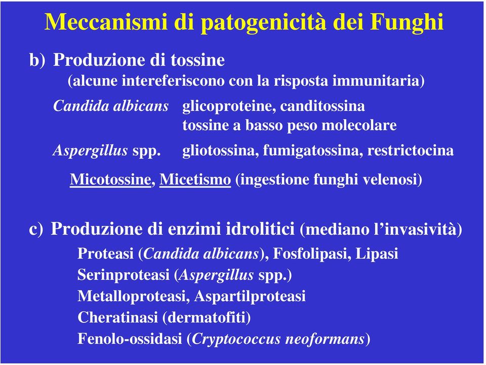 glicoproteine, canditossina tossine a basso peso molecolare gliotossina, fumigatossina, restrictocina Micotossine, Micetismo (ingestione