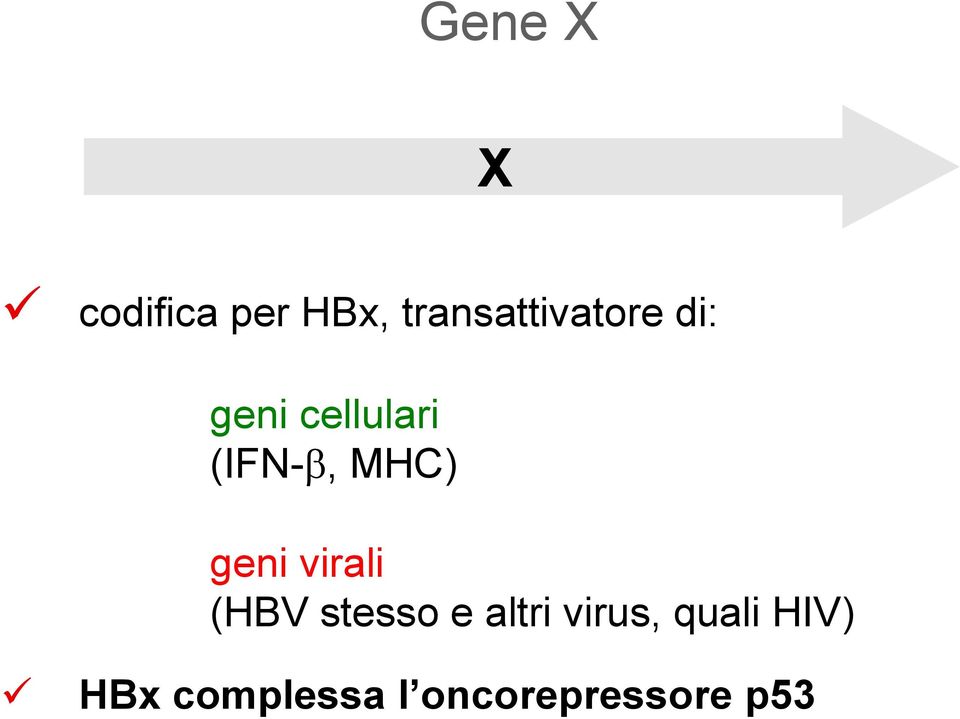 (IFN-b, MHC) geni virali (HBV stesso e