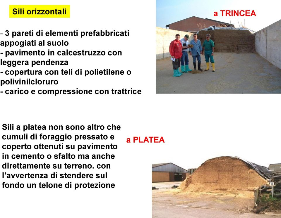 trattrice Sili a platea non sono altro che cumuli di foraggio pressato e coperto ottenuti su pavimento in