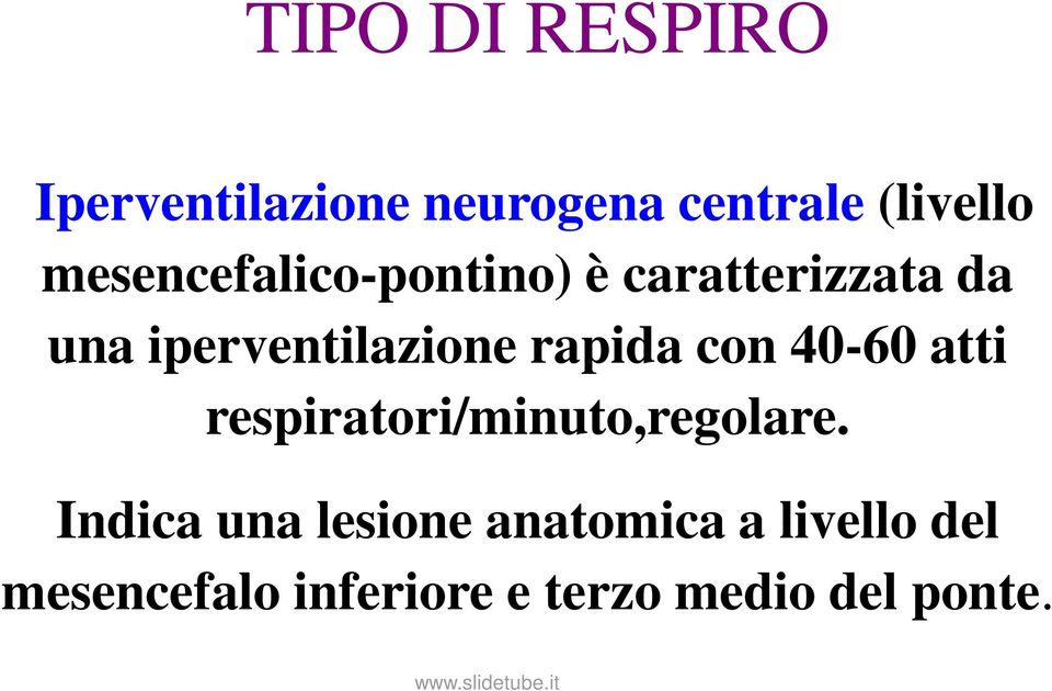 rapida con 40-60 atti respiratori/minuto,regolare.