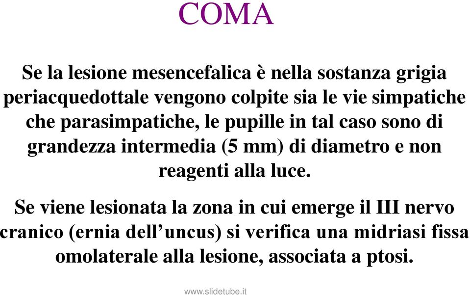 diametro e non reagenti alla luce.