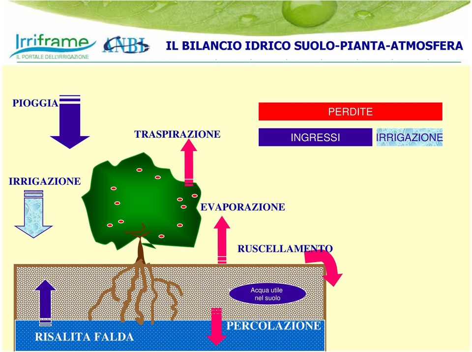 IRRIGAZIONE IRRIGAZIONE EVAPORAZIONE