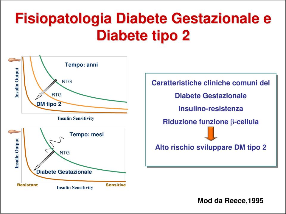 Caratteristiche cliniche comuni del Diabete Gestazionale Insulino-resistenza Riduzione