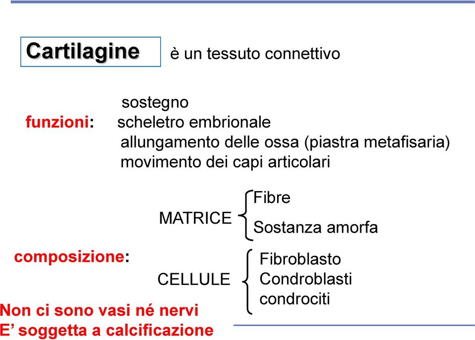 MATRICE composizione: CELLULE Non ci sono vasi né nervi E Copyright soggetta 2006