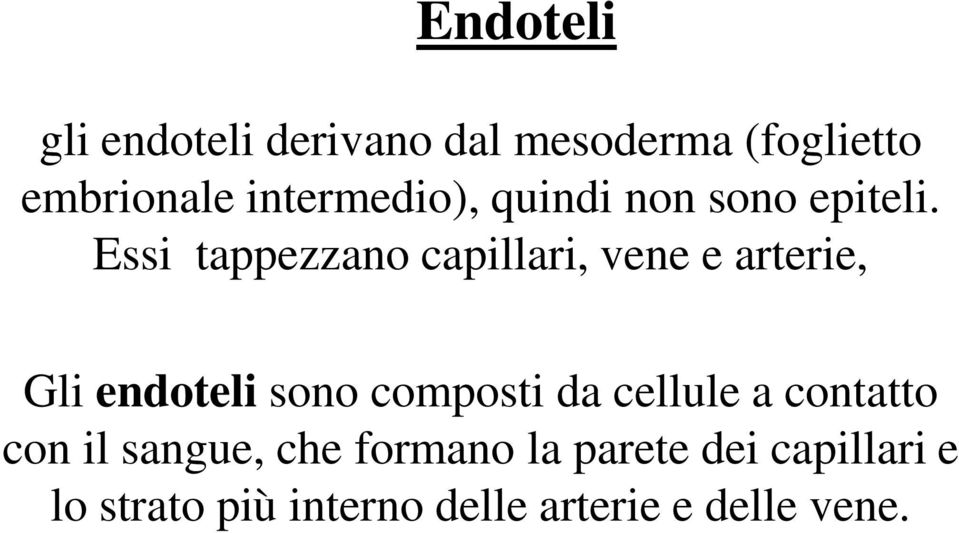 Essi tappezzano capillari, vene e arterie, Gli endoteli sono composti da