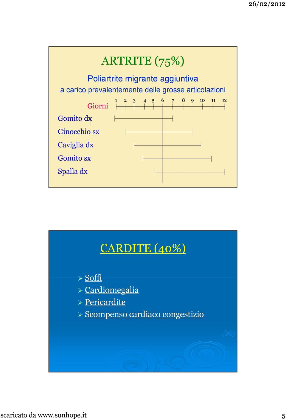 Gomito sx Spalla dx 1 2 3 4 5 6 7 8 9 10 11 12 CARDITE (40%) Soffi