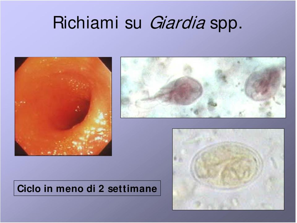 Ciclo in meno