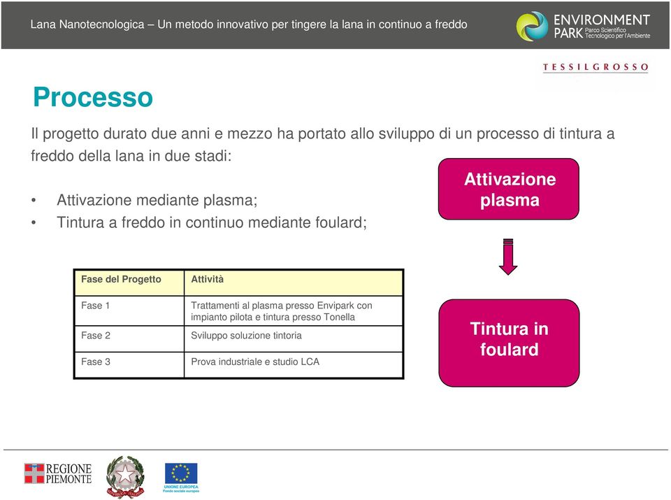 Attivazione plasma Fase del Progetto Attività Fase 1 Fase 2 Fase 3 Trattamenti al plasma presso Envipark con