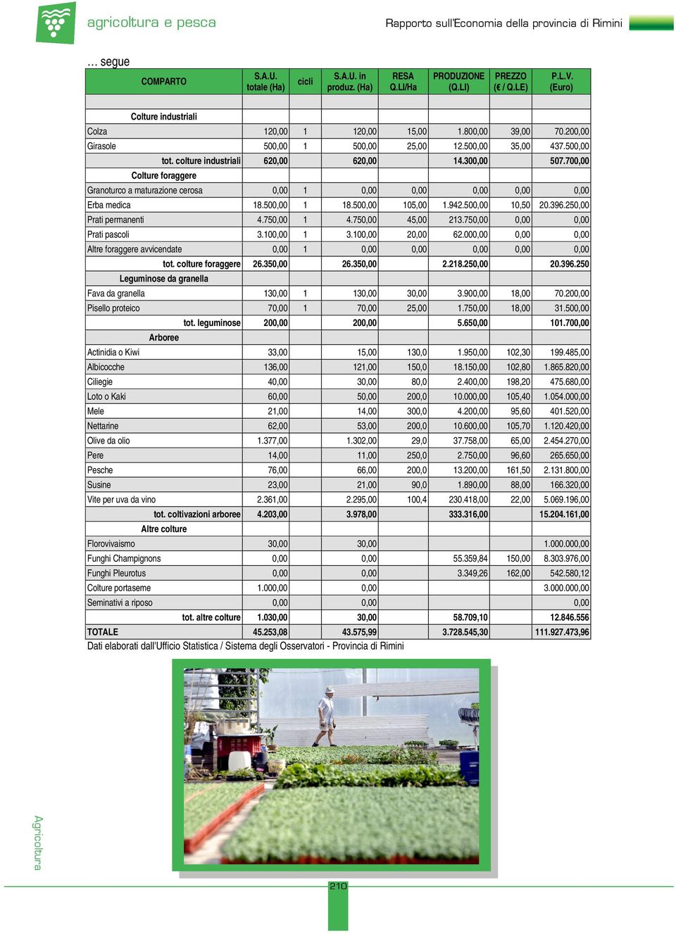 75 45,00 213.75 Prati pascoli 3.10 1 3.10 2 62.00 1 Erba medica Altre foraggere avvicendate tot. colture foraggere 26.35 26.35 10,50 20.396.25 2.218.25 20.396.250 Leguminose da granella Fava da granella 13 1 13 3 3.