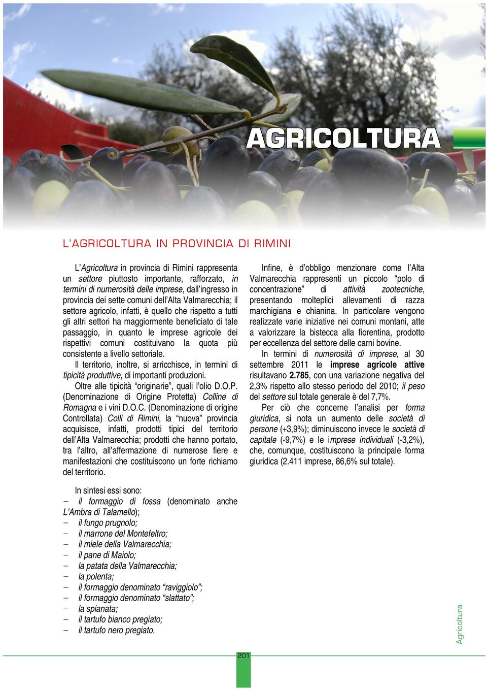 agricole dei rispettivi comuni costituivano la quota più consistente a livello settoriale. Il territorio, inoltre, si arricchisce, in termini di tipicità produttive, di importanti produzioni.