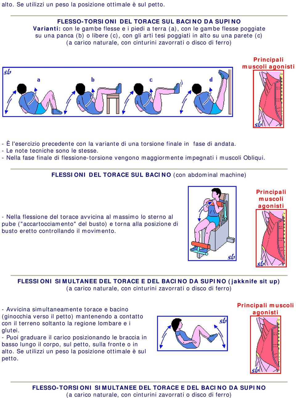 una parete (c) muscoli - È l'esercizio precedente con la variante di una torsione finale in fase di andata. - Nella fase finale di flessione-torsione vengono maggiormente impegnati i muscoli Obliqui.