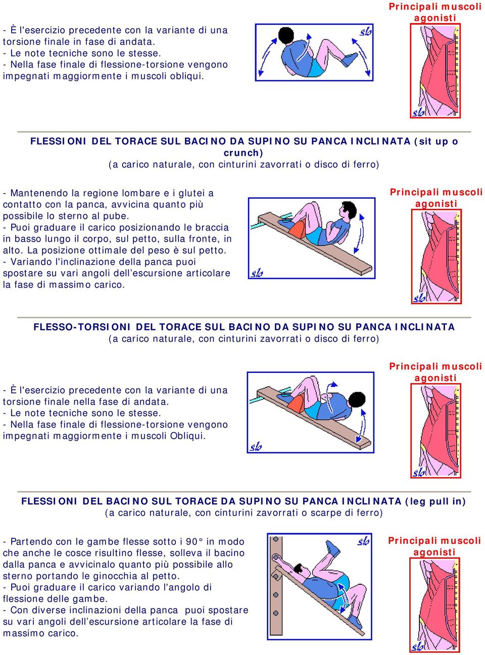 - Puoi graduare il carico posizionando le braccia in basso lungo il corpo, sul petto, sulla fronte, in alto. La posizione ottimale del peso è sul petto.