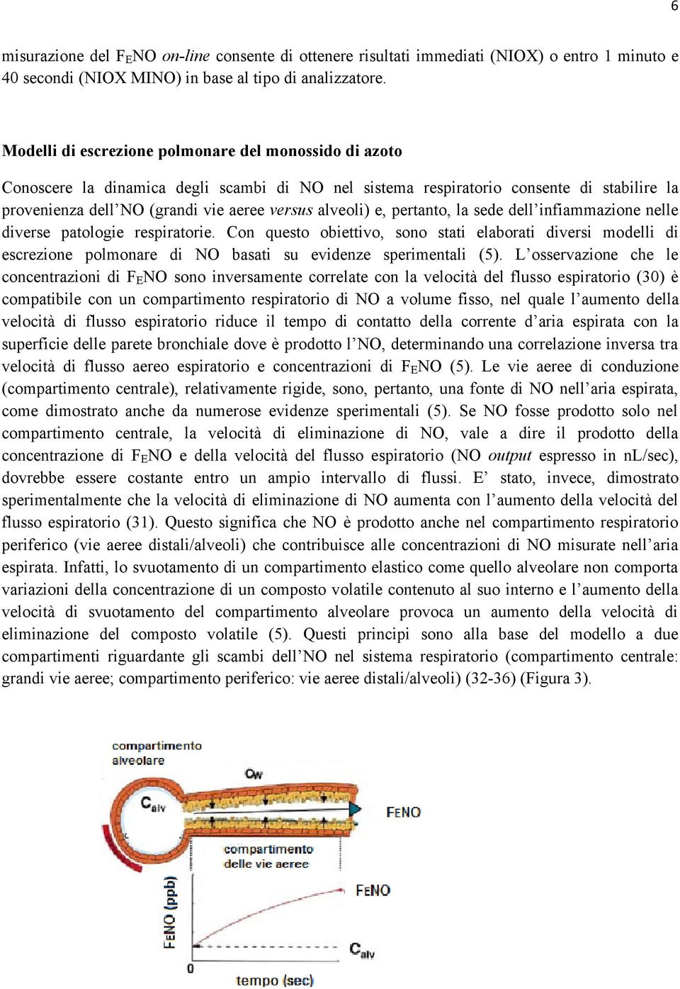 e, pertanto, la sede dell infiammazione nelle diverse patologie respiratorie.