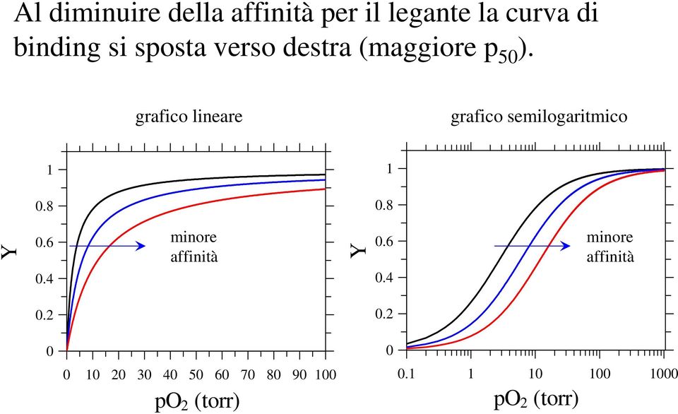 grafico lineare grafico semilogaritmico 1 1 0.8 0.8 Y 0.6 0.