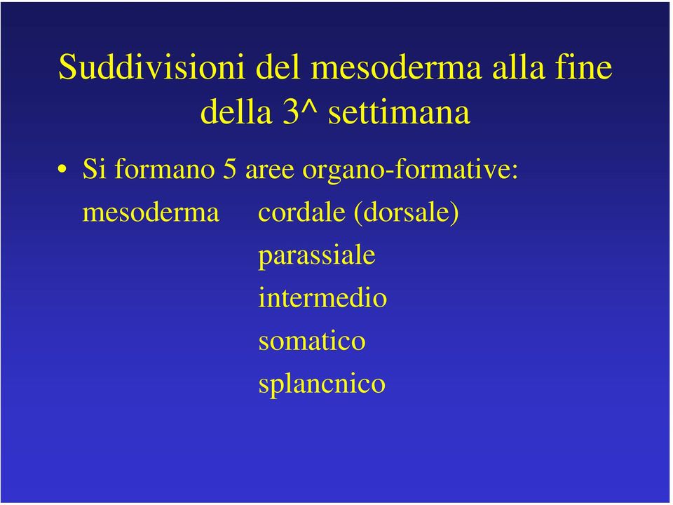 organo-formative: mesoderma cordale