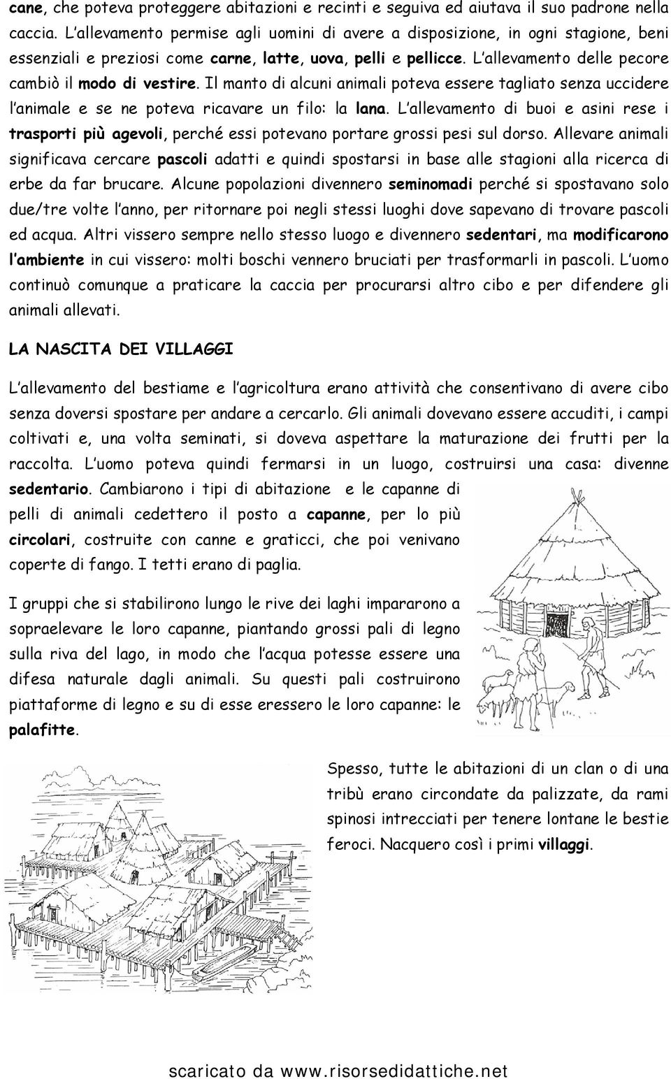 Il manto di alcuni animali poteva essere tagliato senza uccidere l animale e se ne poteva ricavare un filo: la lana.