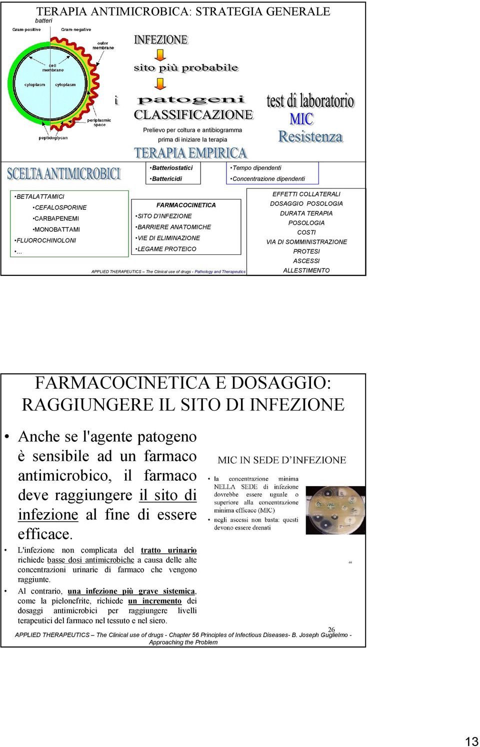 SITO DI INFEZIONE Anche se l'agente patogeno è sensibile ad un farmaco antimicrobico, il farmaco deve raggiungere il sito di infezione al fine di essere efficace.