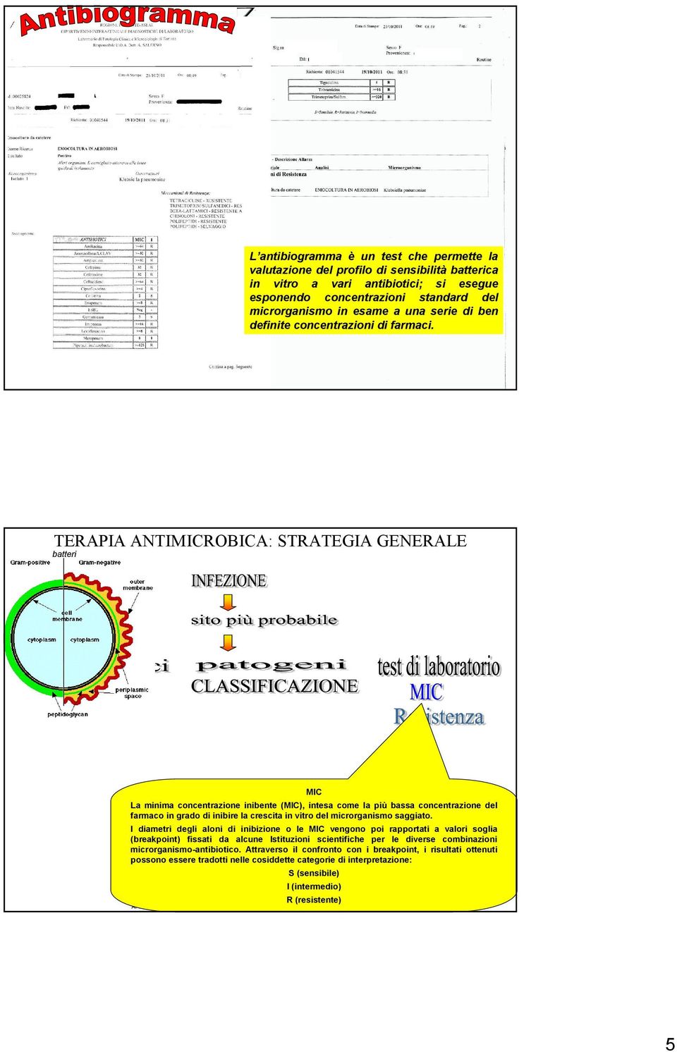 9 MIC La minima concentrazione inibente (MIC), intesa come la più bassa concentrazione del farmaco in grado di inibire la crescita in vitro del microrganismo saggiato.