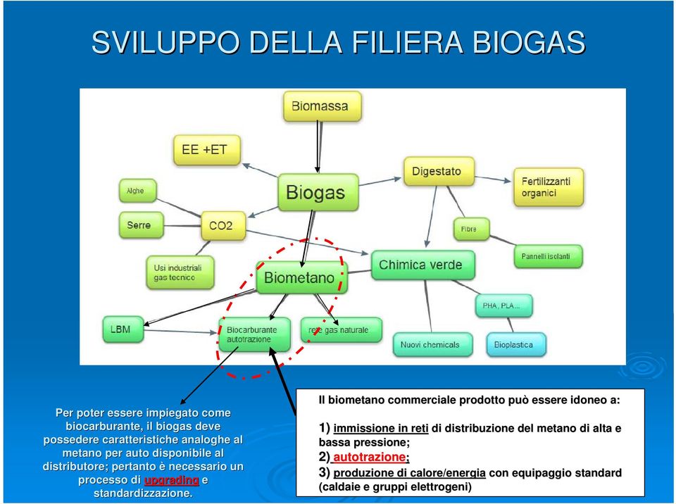 standardizzazione.