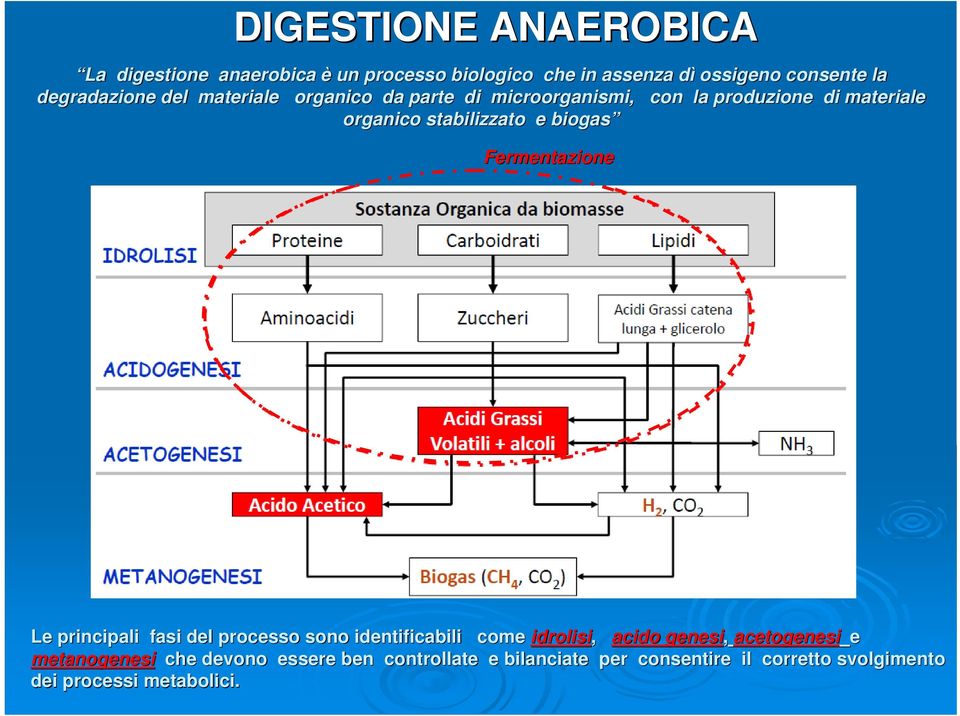 e biogas Fermentazione Le principali fasi del processo sono identificabili come idrolisi, acido genesi, acetogenesi e