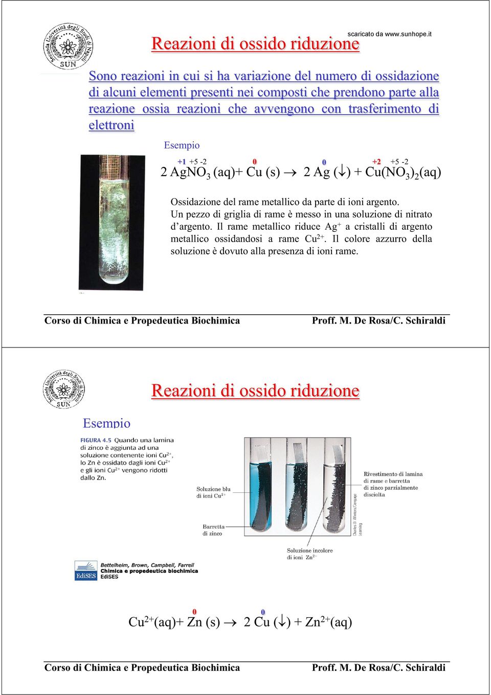 metallico da parte di ioni argento. Un pezzo di griglia di rame è messo in una soluzione di nitrato.