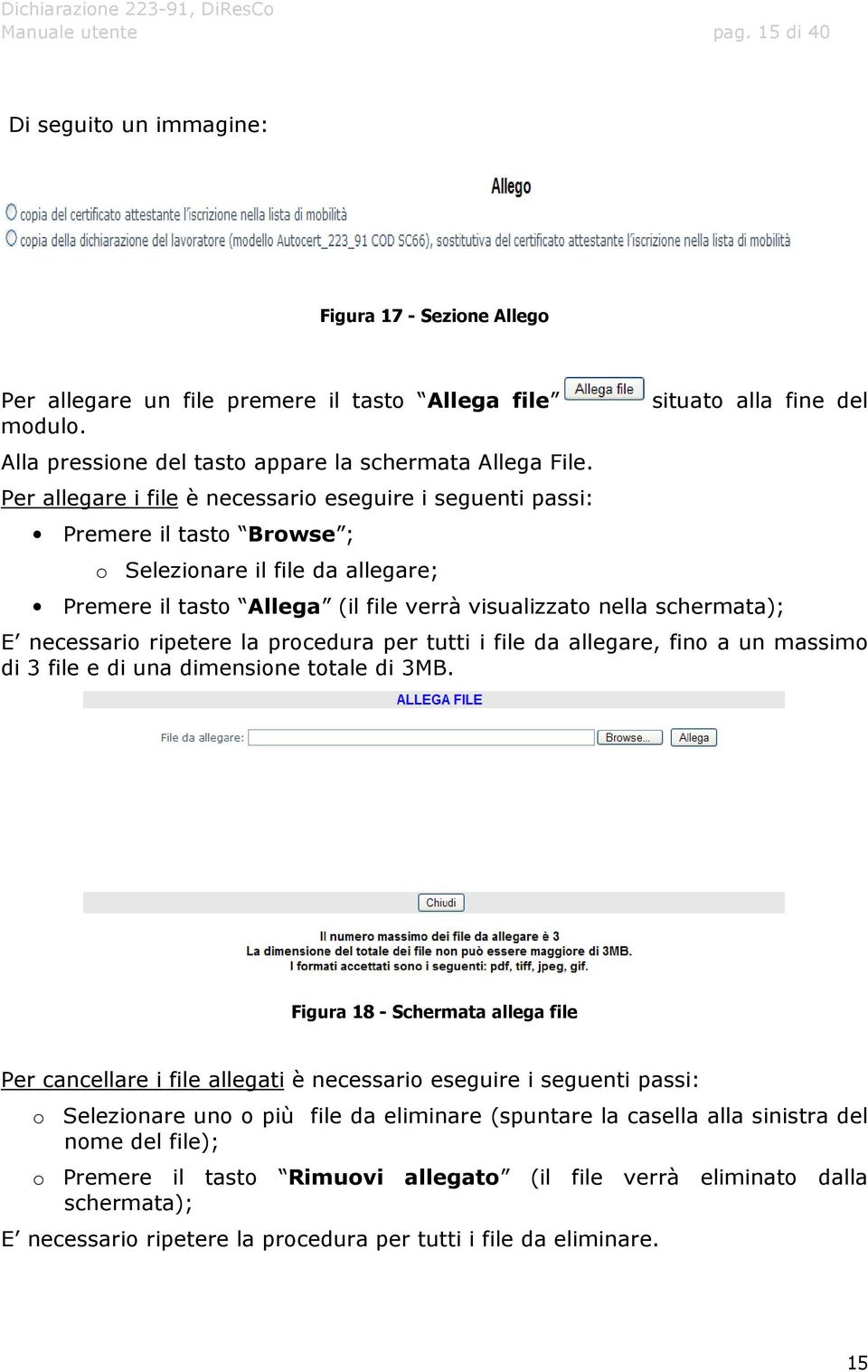 nella schermata); E necessario ripetere la procedura per tutti i file da allegare, fino a un massimo di 3 file e di una dimensione totale di 3MB.