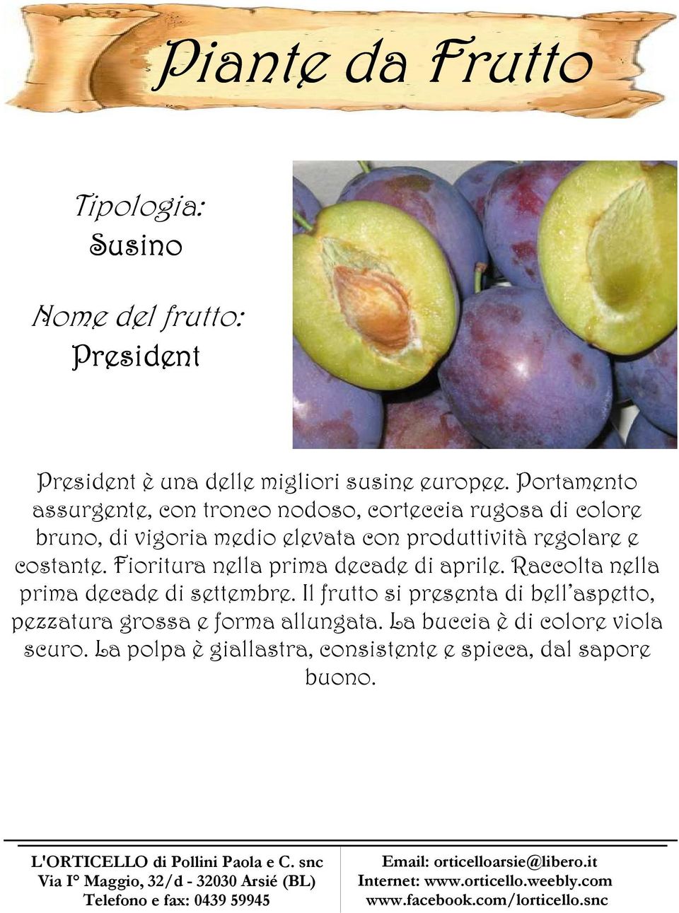 produttività regolare e costante. Fioritura nella prima decade di aprile. Raccolta nella prima decade di settembre.