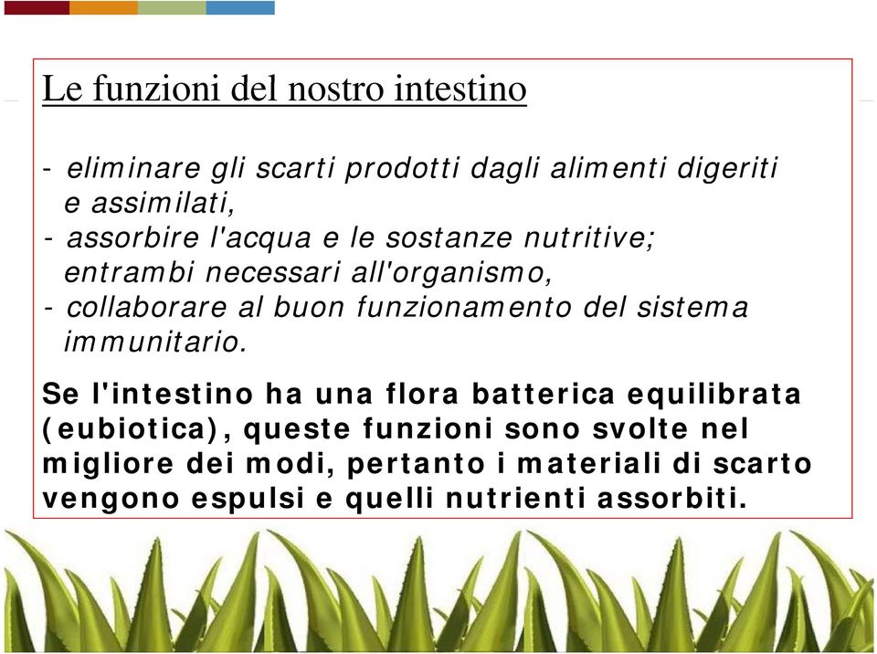 funzionamento del sistema immunitario.