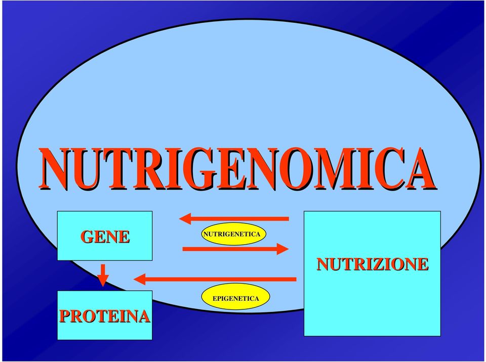 NUTRITICA