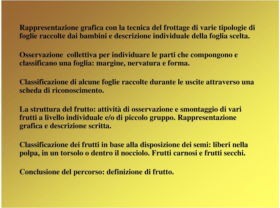 Classificazione di alcune foglie raccolte durante le uscite attraverso una scheda di riconoscimento.