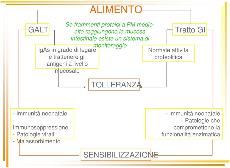 attività proteolitica Tratto GI - Immunità neonatale - Immunosoppressione - Patologie virali -