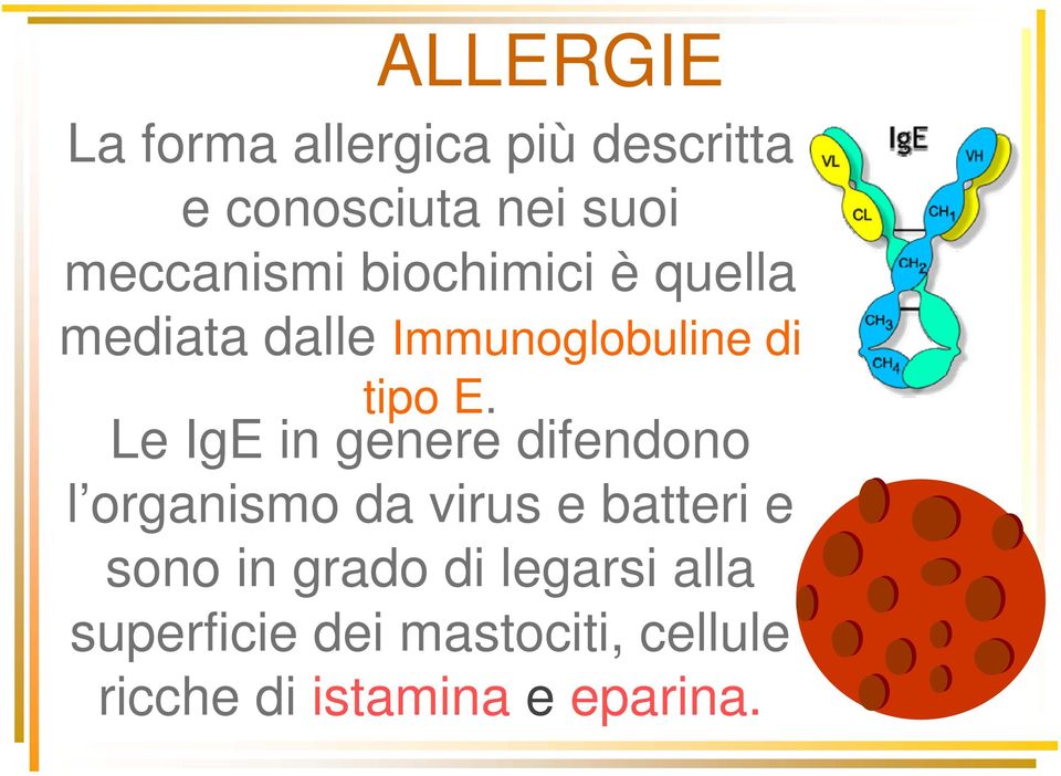 Le IgE in genere difendono l organismo da virus e batteri e sono in grado