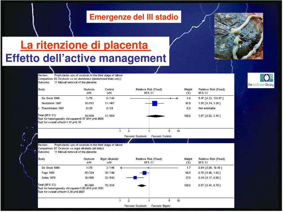 di placenta Effetto