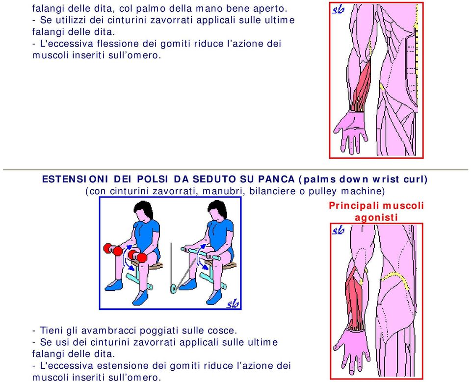 ESTENSIONI DEI POLSI DA SEDUTO SU PANCA (palms down wrist curl) (con cinturini zavorrati, manubri, bilanciere o pulley machine) - Tieni