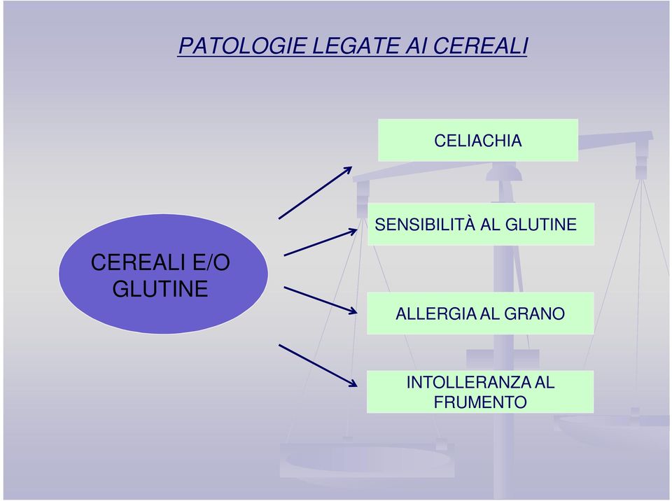 GLUTINE CEREALI E/O GLUTINE