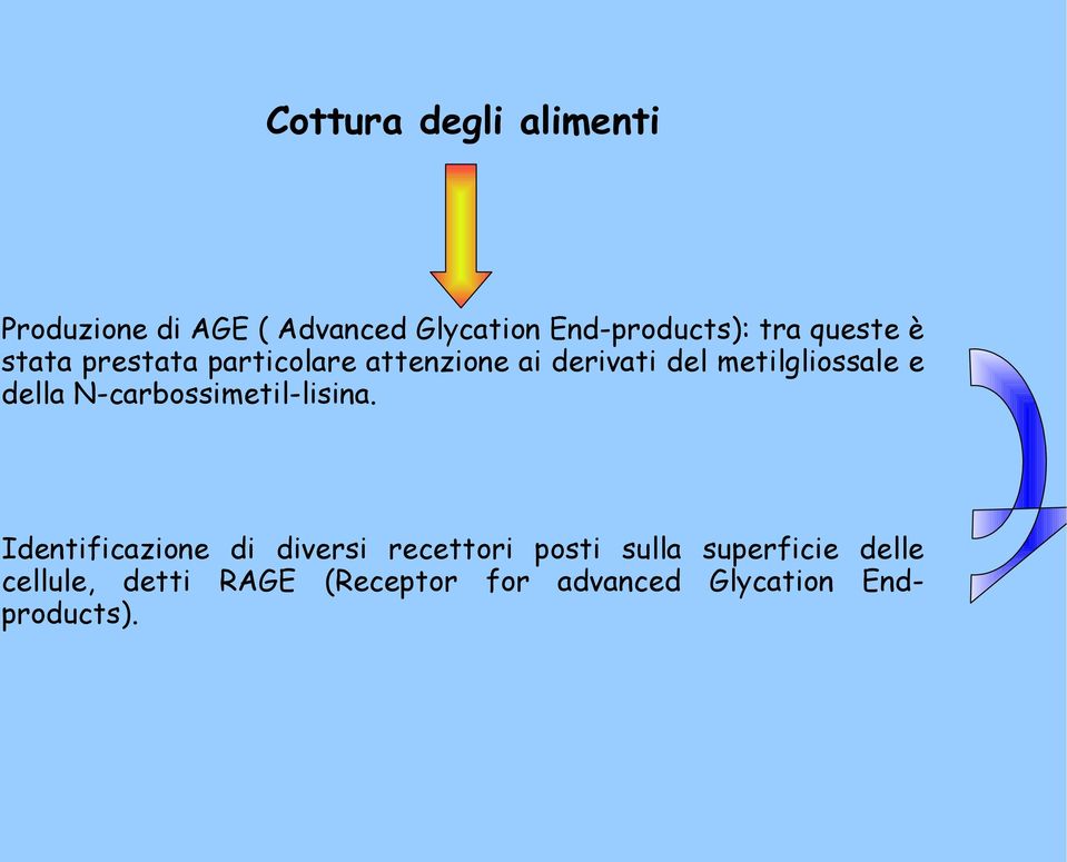 della N-carbossimetil-lisina.