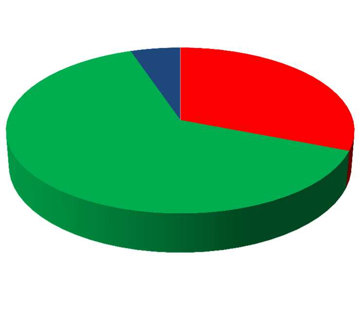 Composizione percentuale Protesti nella Provincia di Perugia Anno 2012 Anno 2012 -