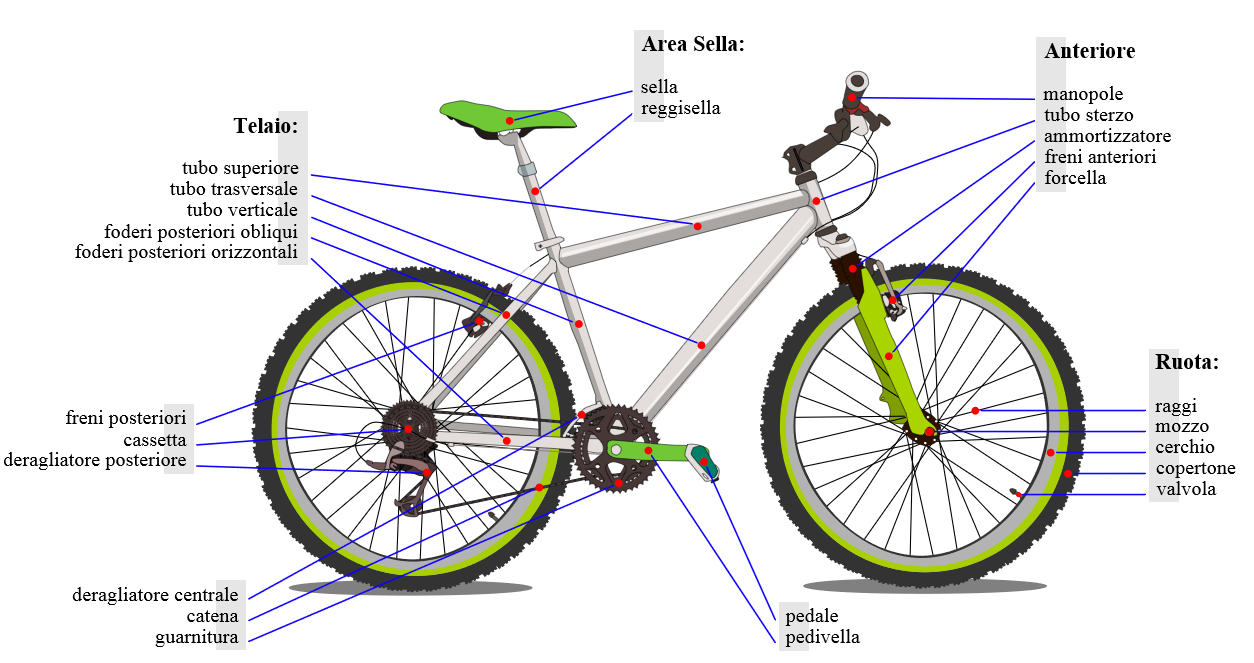 Le parti che compongono la bicicletta Corone posteriori o Cambio o Cambio o N.B.