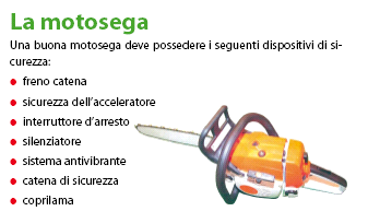 Allegato 1 REQUISITI MINIMI DI SICUREZZA DELLE MOTOSEGHE RISULTA